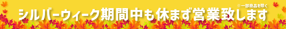 2026ǯ¥·¥ë¥Ð¡¼¥¦¥£¡¼¥¯´ü´ÖÃæ¤Î±Ä¶È¤Ë¤Ä¤¤¤Æ