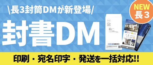 Ĺ3DM