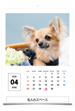 ���󥶥å�/13���֤� ���˻Ϥޤ�